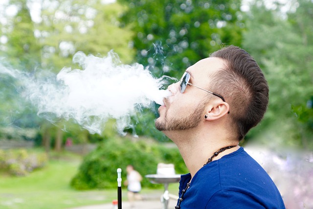 elfbar elfa master akku E-Shisha main image 1